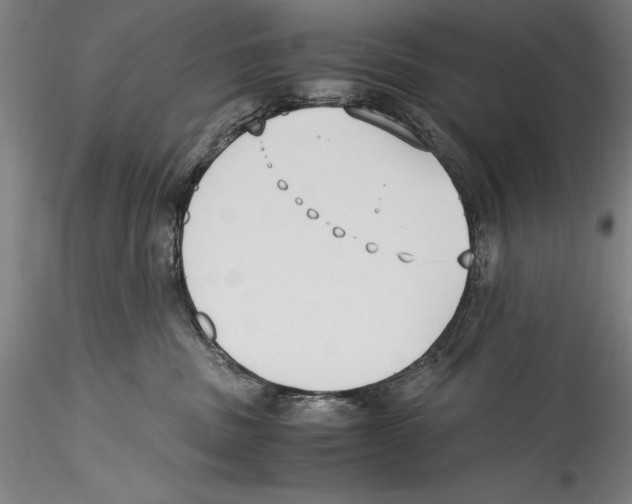 X0000115300379200911301519