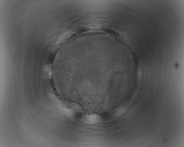 X0000115300383200911301519