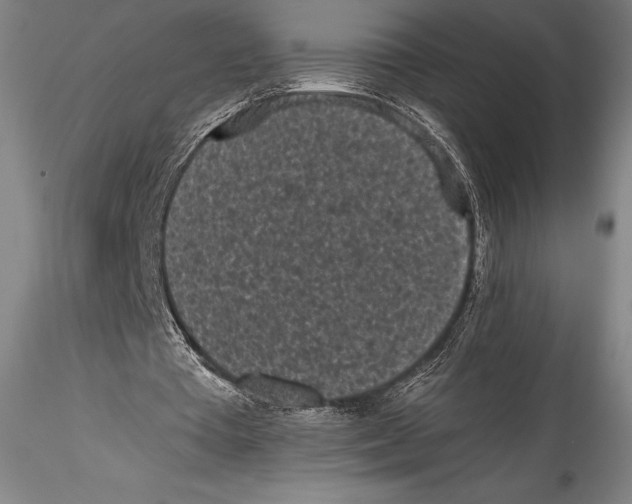 X0000115300385200911301518