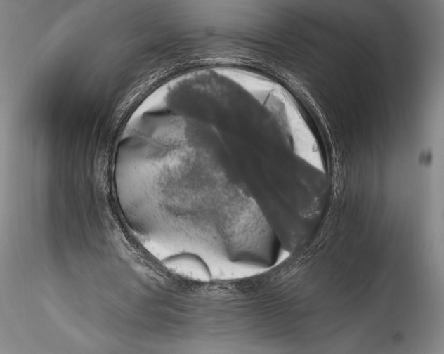 X0000115300386200911301518