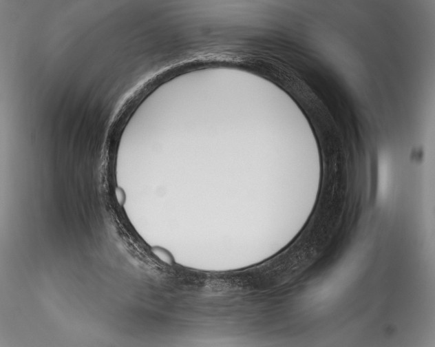 X0000115300388200911301518