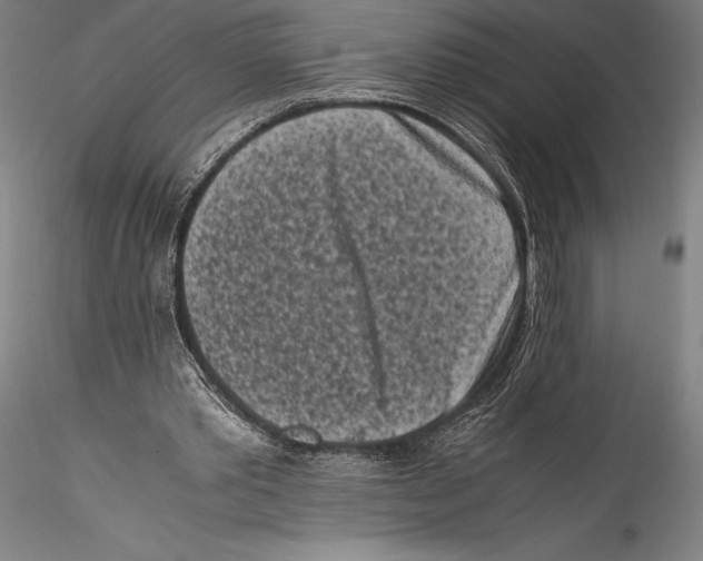 X0000115300389200911301518