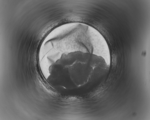 X0000115300390200911301518