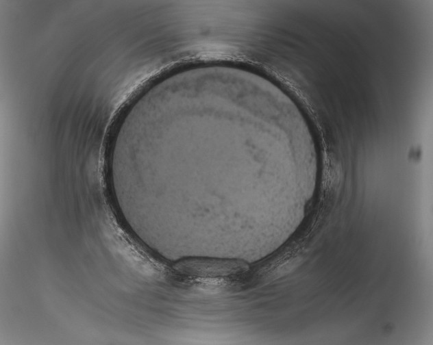 X0000115300391200911301518