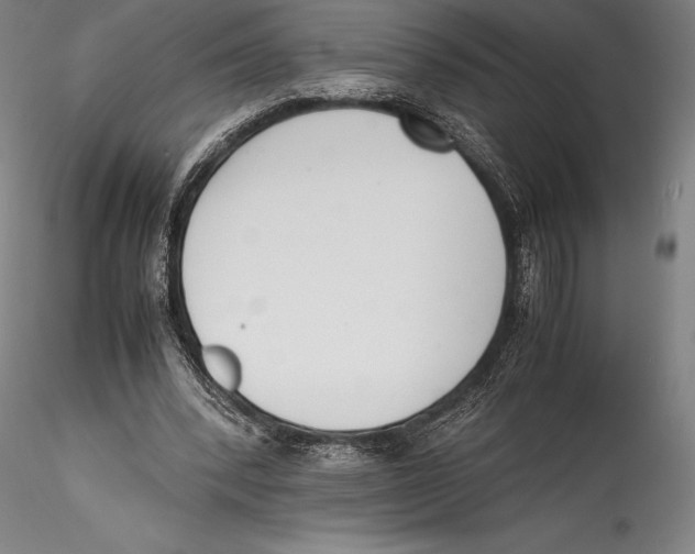 X0000115300392200911301518