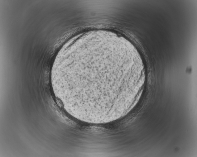 X0000115300393200911301518