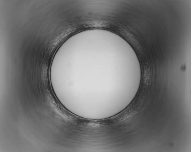 X0000115300394200911301518