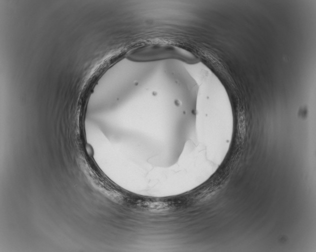 X0000115300395200911301518