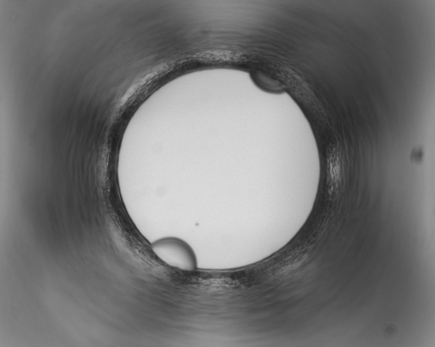 X0000115300396200911301518