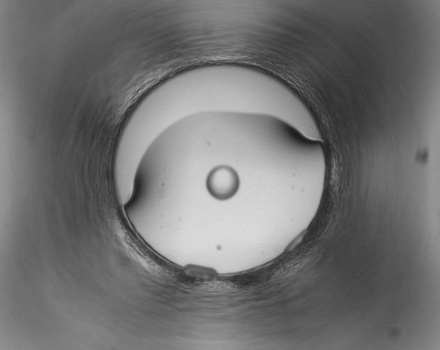 X0000115300397200911301518