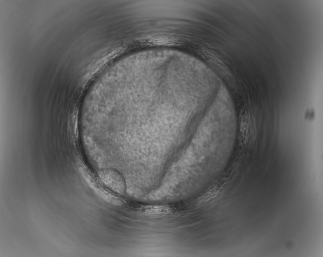 X0000115300398200911301518