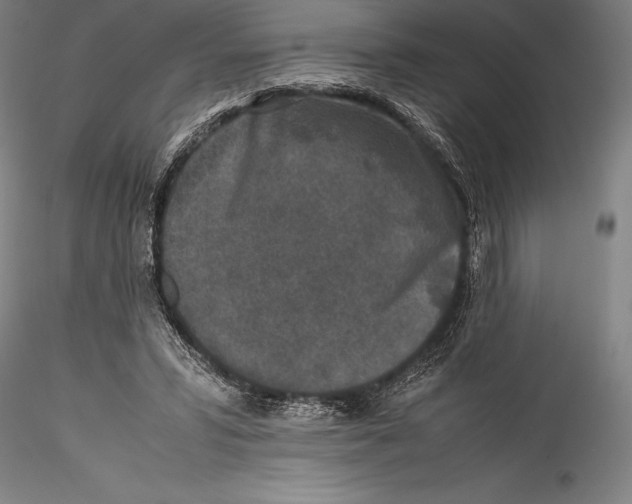 X0000115300399200911301518