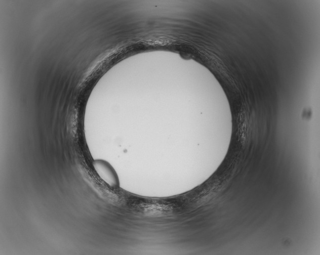 X0000115300400200911301518