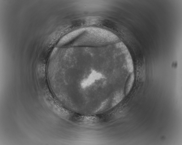 X0000115300401200911301518