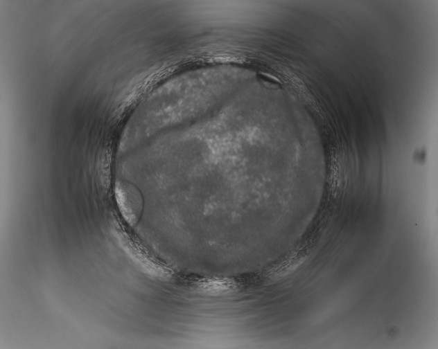 X0000115300402200911301518