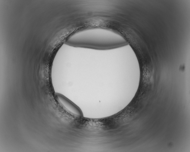 X0000115300403200911301518