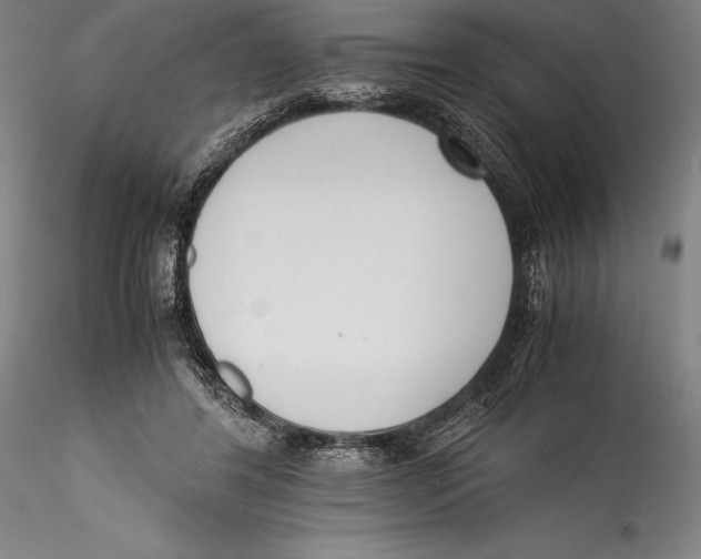 X0000115300404200911301518