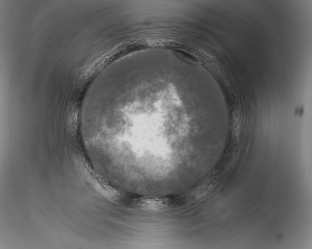 X0000115300405200911301518