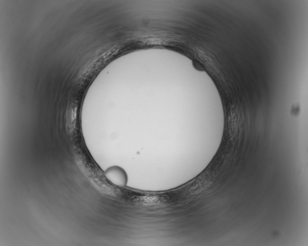 X0000115300406200911301518