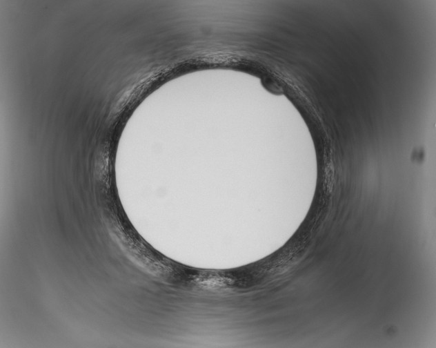 X0000115300407200911301518