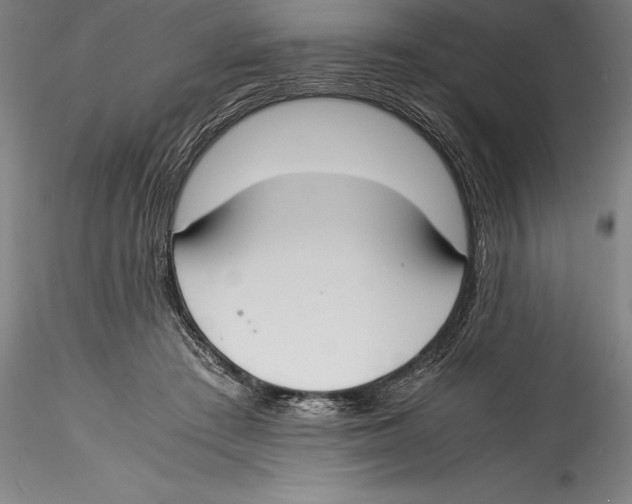 X0000115300409200911301518