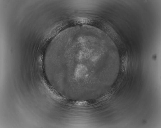 X0000115300410200911301518