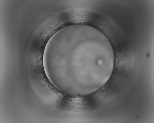 X0000115300411200911301518