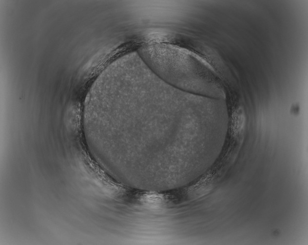 X0000115300413200911301518