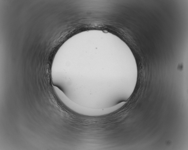 X0000115300415200911301517