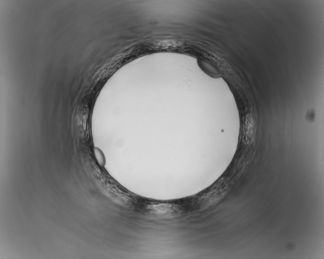 X0000115300417200911301517