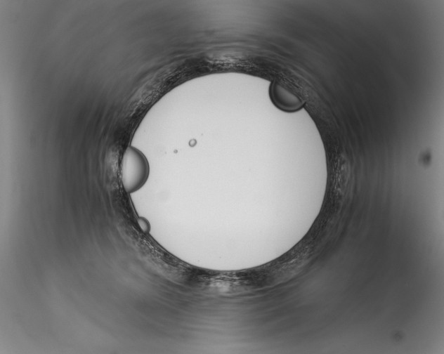 X0000115300420200911301517