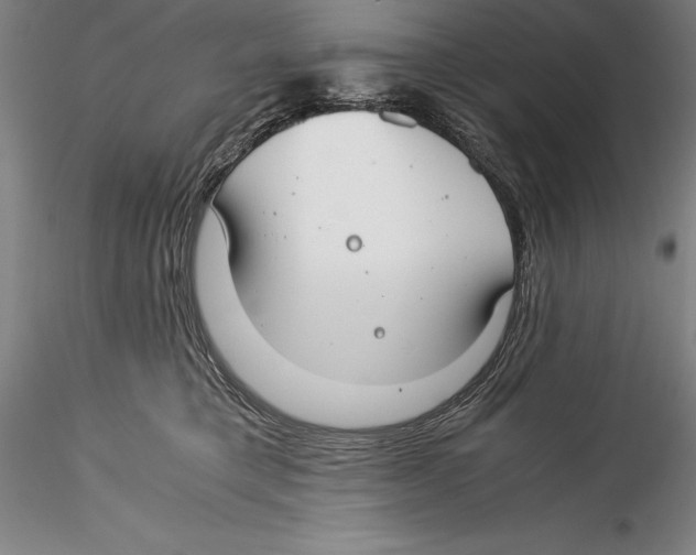 X0000115300421200911301517