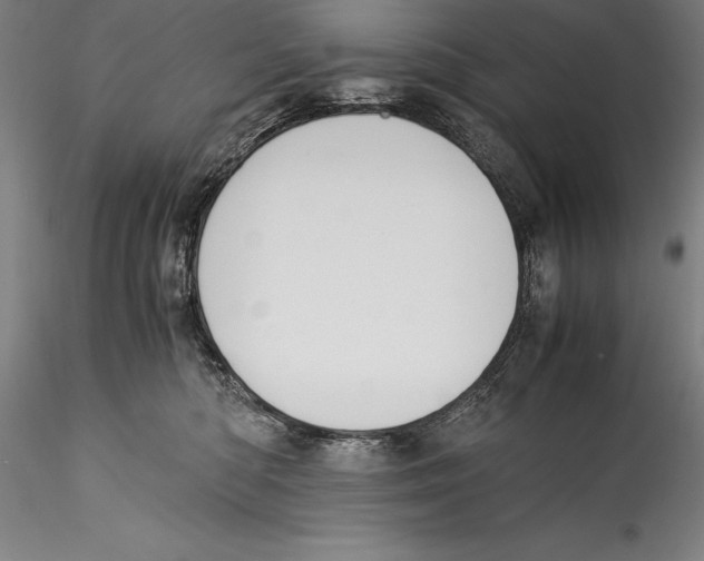 X0000115300422200911301517