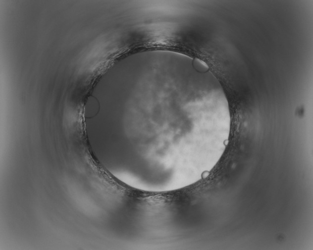 X0000115300423200911301517