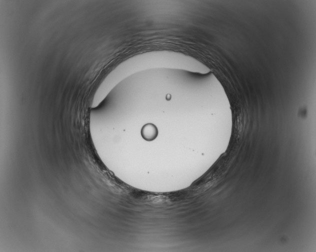 X0000115300424200911301517