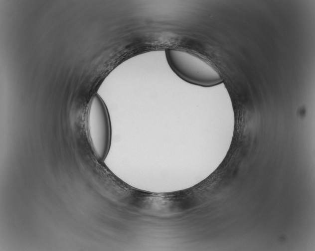 X0000115300425200911301517