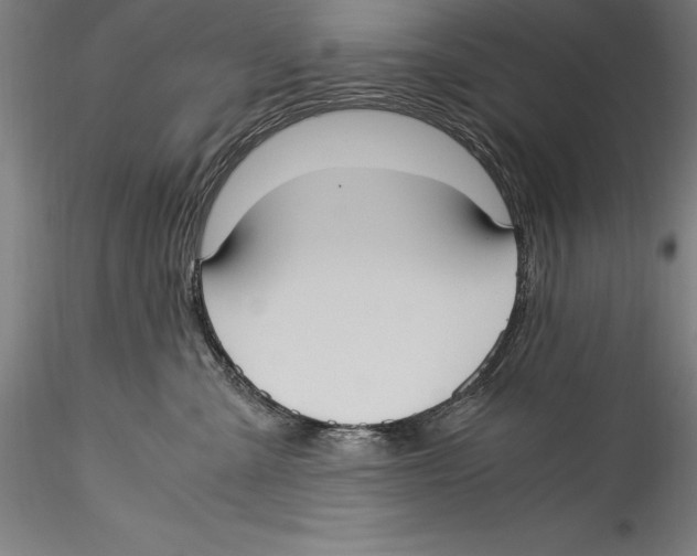 X0000115300427200911301517