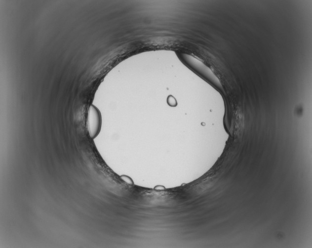 X0000115300428200911301517