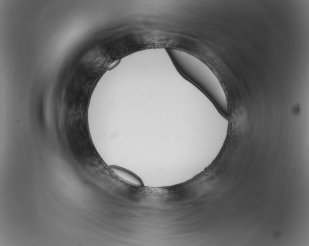 X0000115300429200911301517