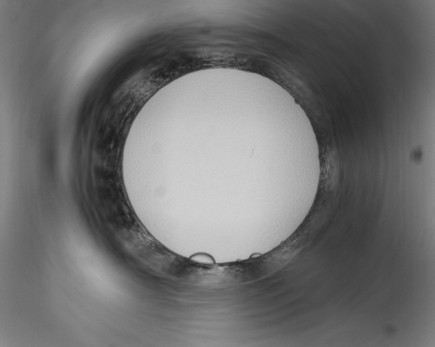 X0000115300430200911301517