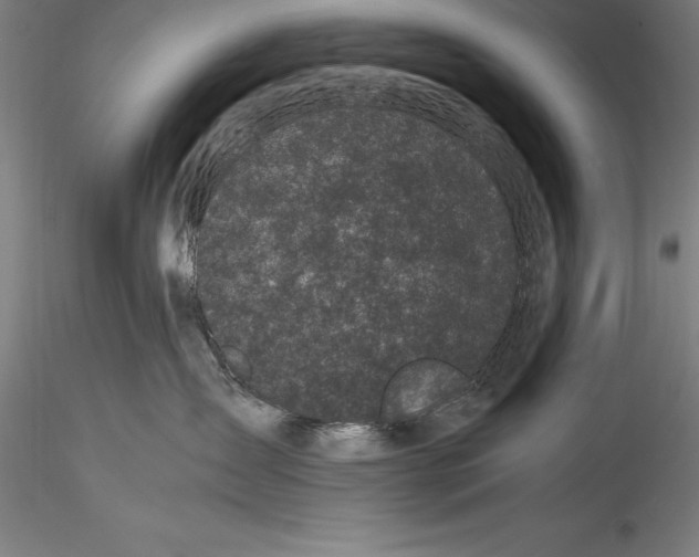 X0000115300431200911301517