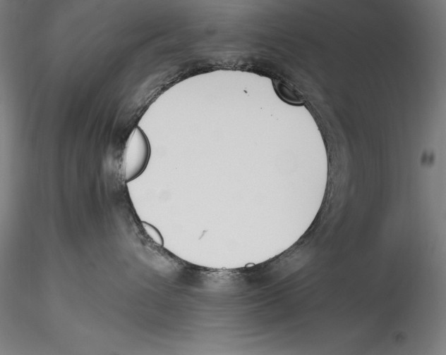 X0000115300432200911301517