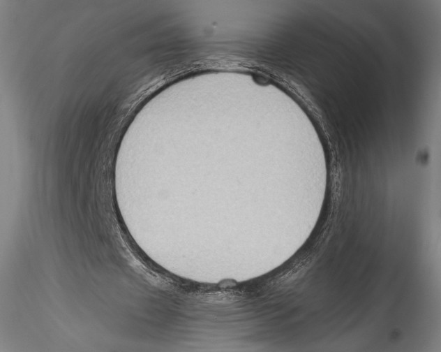 X0000115300433200911301517