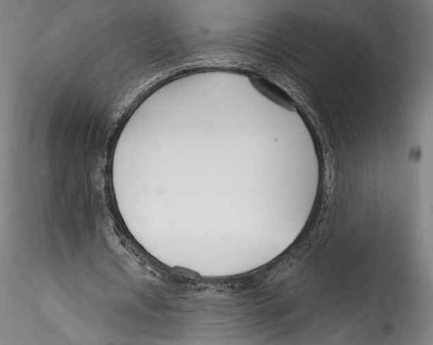 X0000115300434200911301517