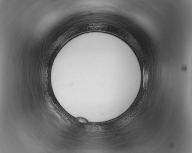 X0000115300435200911301517