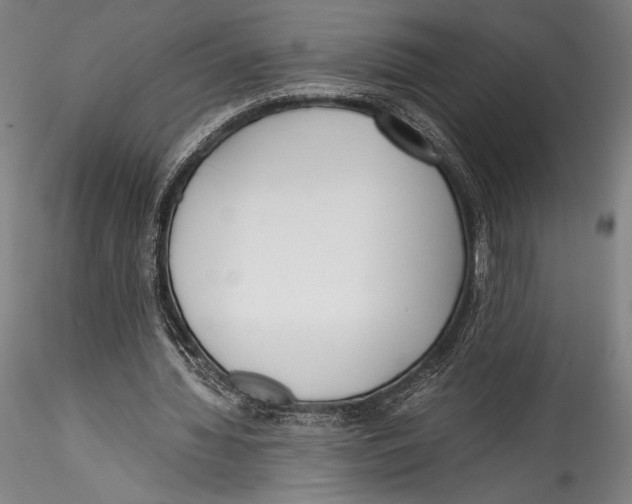 X0000115300436200911301517