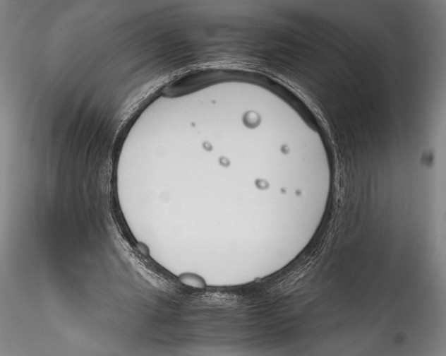 X0000115300437200911301517