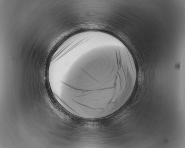 X0000115300438200911301517