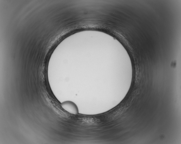 X0000115300439200911301517