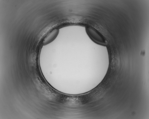 X0000115300440200911301517